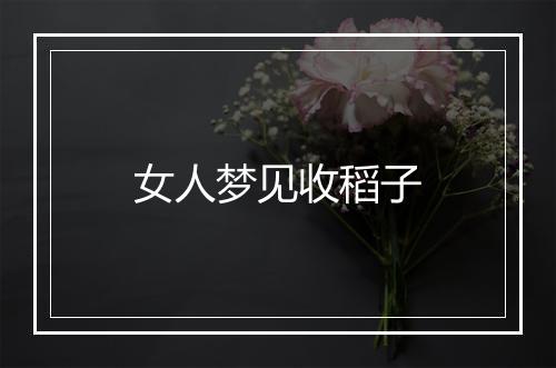 女人梦见收稻子