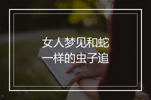 女人梦见和蛇一样的虫子追