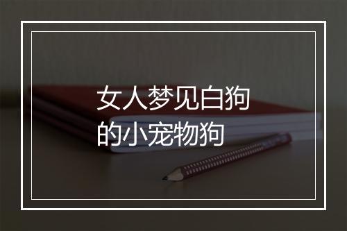 女人梦见白狗的小宠物狗