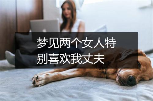 梦见两个女人特别喜欢我丈夫