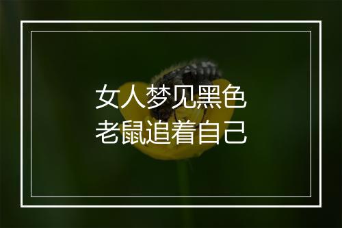 女人梦见黑色老鼠追着自己