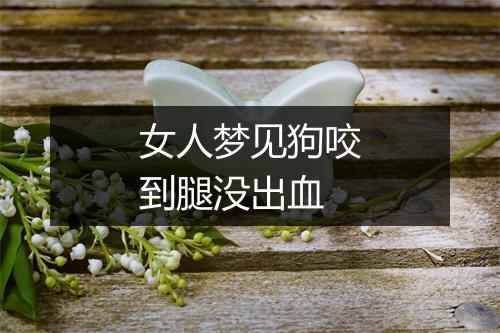 女人梦见狗咬到腿没出血