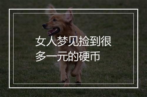 女人梦见捡到很多一元的硬币