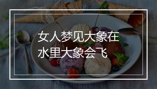 女人梦见大象在水里大象会飞