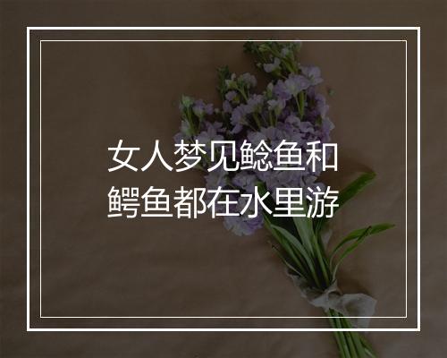 女人梦见鲶鱼和鳄鱼都在水里游