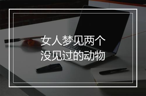 女人梦见两个没见过的动物