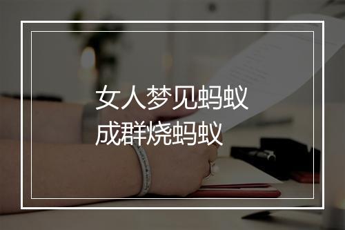 女人梦见蚂蚁成群烧蚂蚁