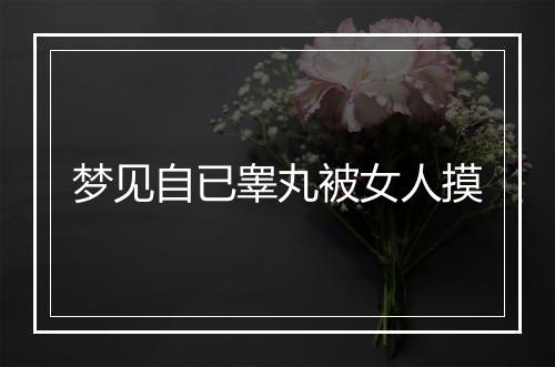 梦见自已睾丸被女人摸