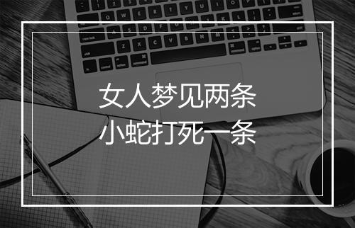 女人梦见两条小蛇打死一条