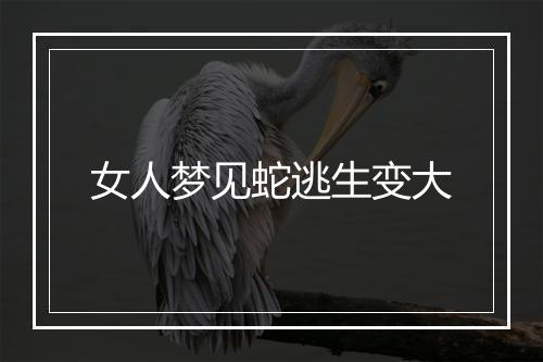 女人梦见蛇逃生变大