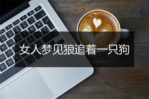 女人梦见狼追着一只狗