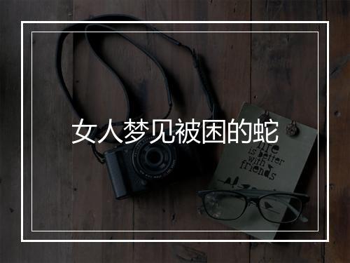 女人梦见被困的蛇