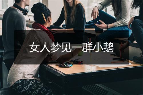 女人梦见一群小鹅