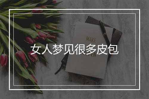 女人梦见很多皮包