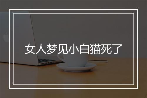 女人梦见小白猫死了