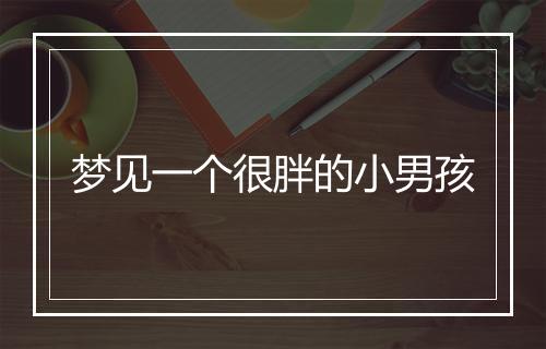 梦见一个很胖的小男孩