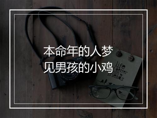 本命年的人梦见男孩的小鸡