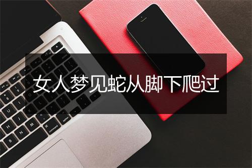 女人梦见蛇从脚下爬过