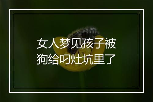 女人梦见孩子被狗给叼灶坑里了