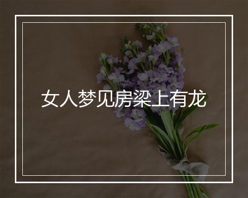 女人梦见房梁上有龙