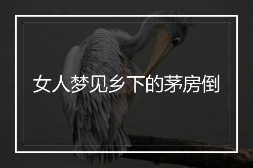 女人梦见乡下的茅房倒