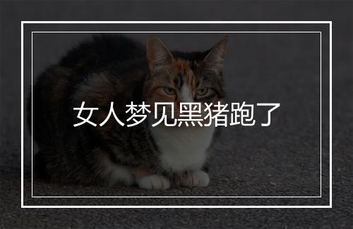 女人梦见黑猪跑了