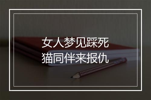 女人梦见踩死猫同伴来报仇