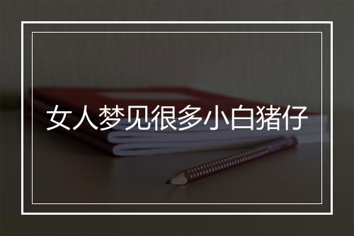 女人梦见很多小白猪仔