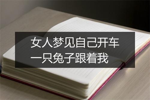 女人梦见自己开车一只兔子跟着我