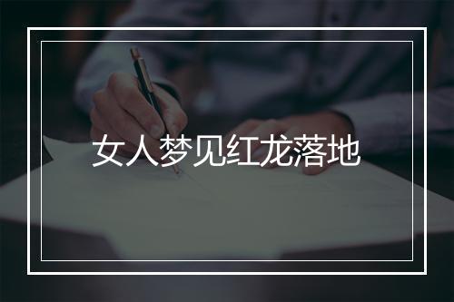 女人梦见红龙落地