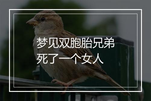 梦见双胞胎兄弟死了一个女人