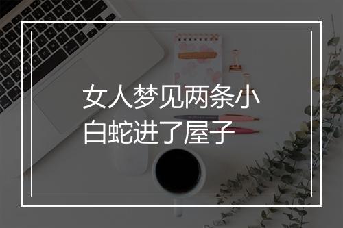 女人梦见两条小白蛇进了屋子