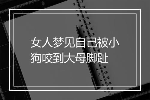 女人梦见自己被小狗咬到大母脚趾