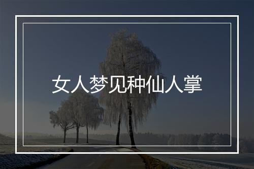 女人梦见种仙人掌