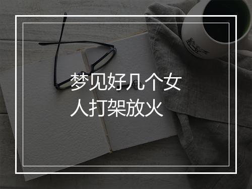 梦见好几个女人打架放火