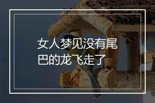 女人梦见没有尾巴的龙飞走了