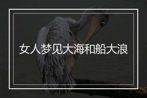 女人梦见大海和船大浪