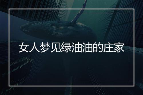 女人梦见绿油油的庄家