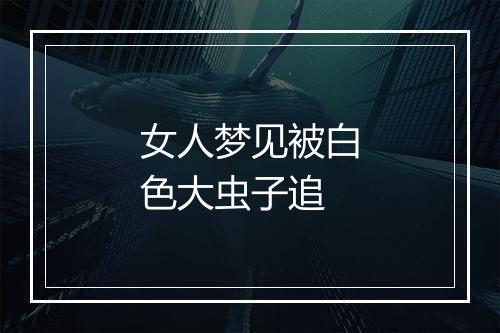 女人梦见被白色大虫子追