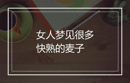 女人梦见很多快熟的麦子