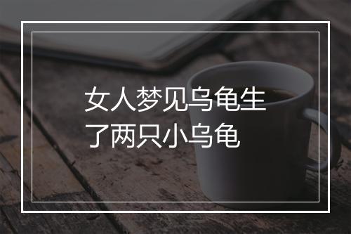 女人梦见乌龟生了两只小乌龟