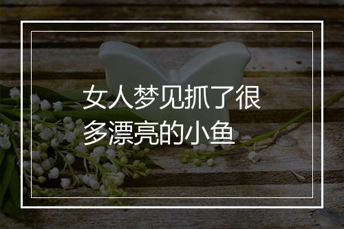 女人梦见抓了很多漂亮的小鱼