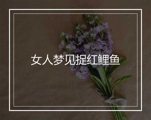 女人梦见捉红鲤鱼