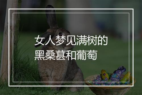 女人梦见满树的黑桑葚和葡萄