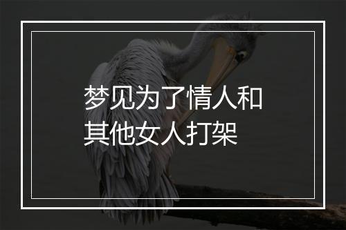 梦见为了情人和其他女人打架