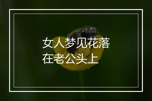 女人梦见花落在老公头上