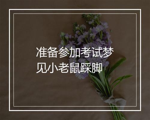 准备参加考试梦见小老鼠踩脚