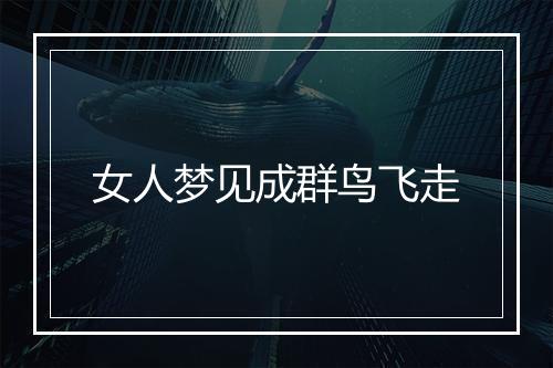 女人梦见成群鸟飞走