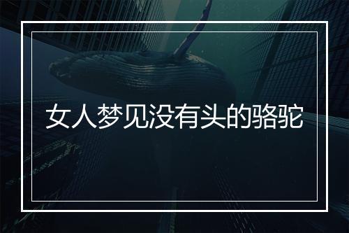 女人梦见没有头的骆驼