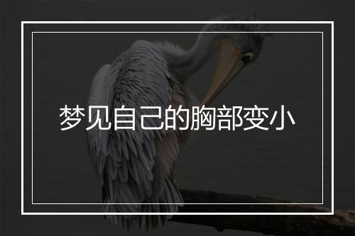 梦见自己的胸部变小